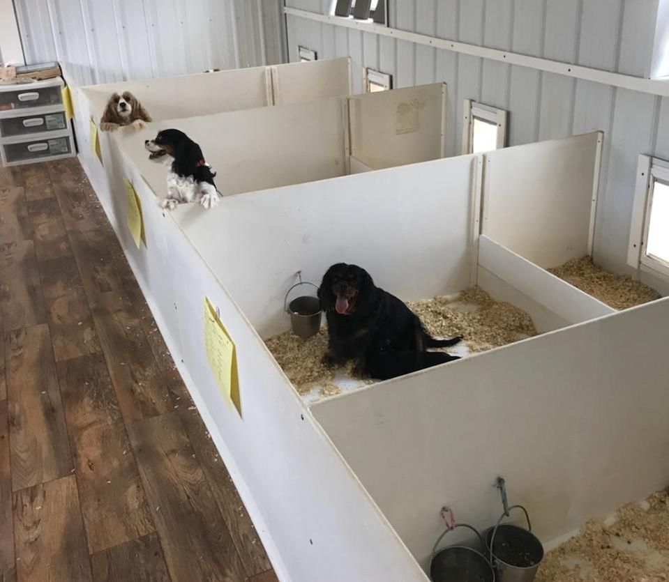 Nursery for Mamas and puppies